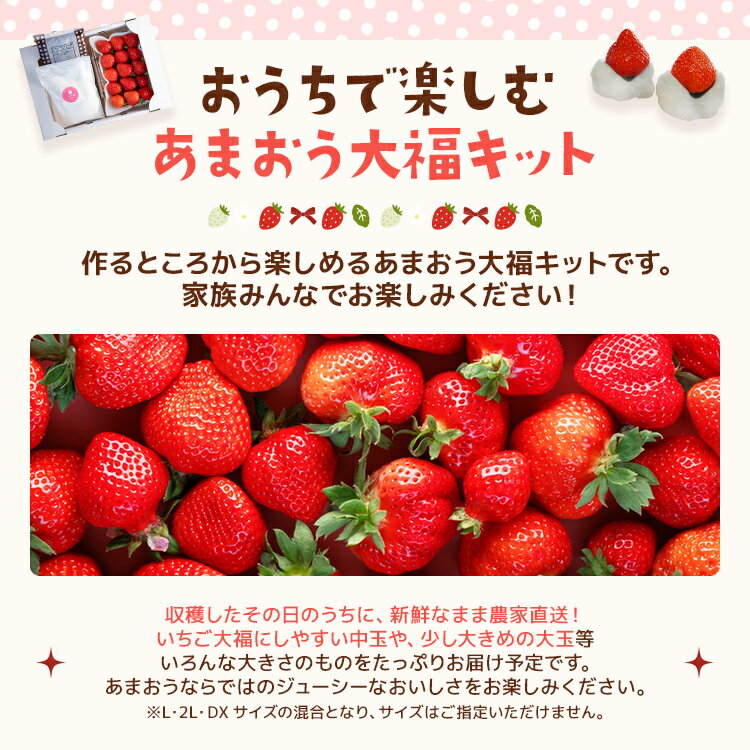 【ふるさと納税】あまおう大福 手作りキット 大福 和菓子 キッド セット 【2024年1月～4月にかけて順次出荷予定】餡子 あん お菓子 手作り 苺 いちご 福岡県 大木町 池上農園 BD03