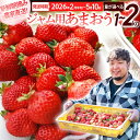 【ふるさと納税】ジャム用あまおう1kg ※2026年2月中旬~5月10日頃にかけて順次出荷予定 BD08