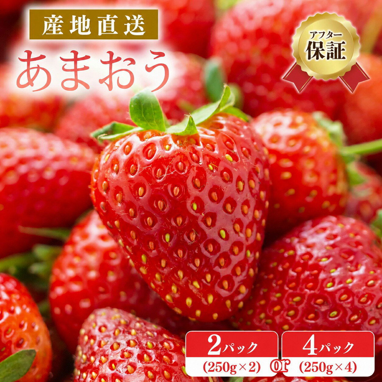[アフター保証][先行予約]いちご あまおう 大木町 合計500〜1000g [2027年1月〜3月に順次出荷予定] ランキング入賞 フルーツ 苺 イチゴ あかい まるい おおきい うまい おすすめ 9000円 果物