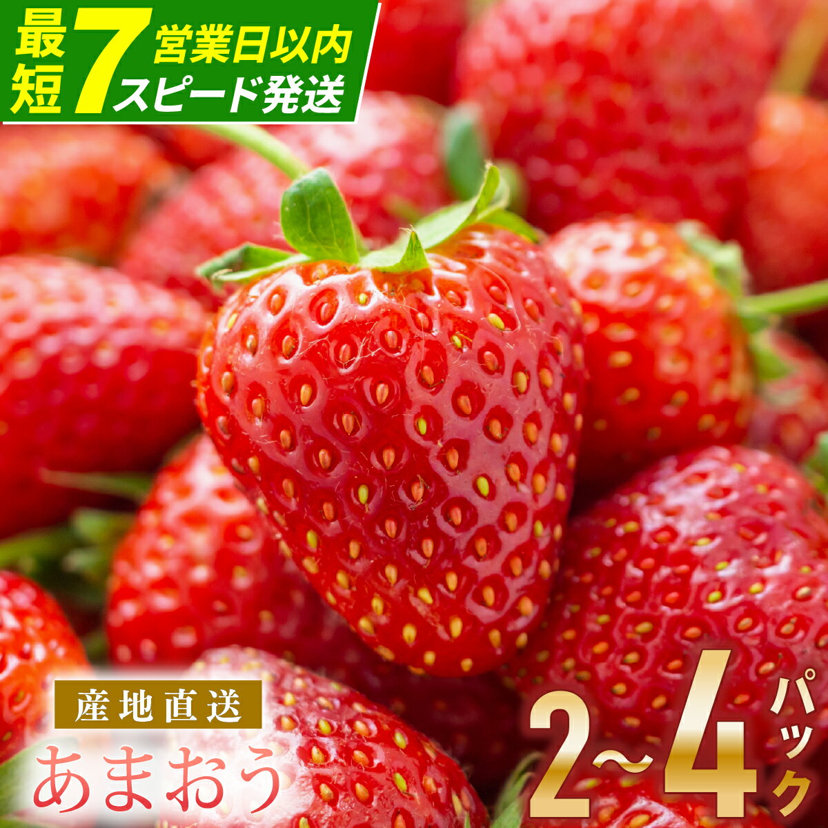 [アフター保証][最短7営業日以内スピード発送]いちご あまおう 大木町 合計540〜1200g [2026年1月〜4月に順次出荷予定] 苺 イチゴ あかい まるい おおきい うまい おすすめ CB223 9000円 10000円 果物 CB223 AG010 BD01-2 BJ04
