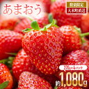 1位! 口コミ数「121件」評価「3.65」いちご あまおう 大木町 予約 合計1080g 約270g×4パック イチゴ 苺【2026年1月〜4月に順次出荷予定】 おすすめ 福岡県 9000円 10000円以下 果物 CB223
