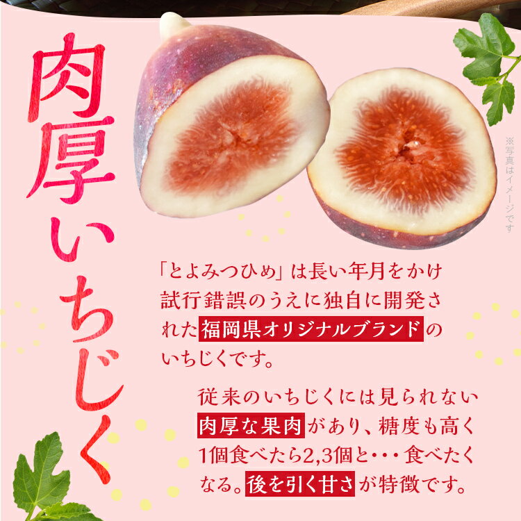 福岡県大木町の画像2