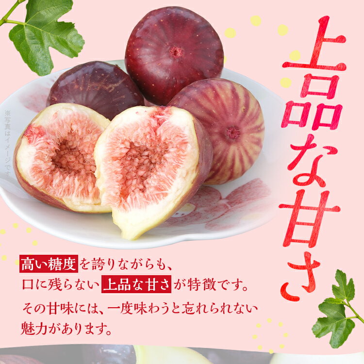 �ڤդ뤵��Ǽ�ǡ���¿�Ȥ�ߤĤҤ� 1,000g��4�ѥå��ˡ�2026ǯ8���10���ȯ��ͽ��� CD23