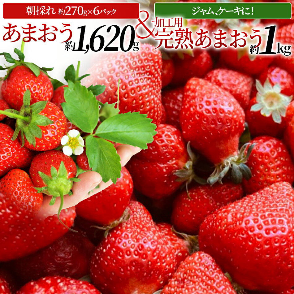 【ふるさと納税】約270g×6パック ＋ ジャムやケーキなど用 完熟あまおうの山もり1箱（約1kg/箱） 詰め合わせ いちご イチゴ 苺 福岡県 大木町 モエズ Moes【2024年3月下旬～2024年5月末頃順次出荷予定】 CE02