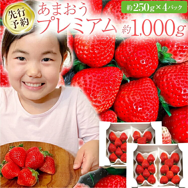 農家直送!認定農家がつくる、新鮮でおいしい「あまおう」をお届け! 福岡県が誇る高級特産品「あまおう」。福岡県でのみ生産されていて希少価値の高い品種です。 土づくりからこだわり、愛情をこめて育てたいちごを、一粒一粒を丁寧に検品し、規定の品質基準を満たすものだけを厳選しています。 みなさまに、より新鮮なイチゴをお届けするため、収穫したその日のうちに『後藤いちご園』から直接発送致します。 どうぞ我が家自慢の「絶品あまおう」をお楽しみください。 名称 あまおうプレミアム（約250g×4パック） 原材料名 いちご 産地 国産（福岡県） 内容量 あまおう　約250g×4パック（1000g） 賞味期限 出荷日＋5日 生もののため、できるだけはやくお召し上がりください。 保存方法 要冷蔵（10℃以下で保存） 配送方法 冷蔵 発送期日 2027年2月以降順次発送 調理法 天候によって甘みと酸味のバランスが変わる品種のですので、お好みで練乳などをかけてお召し上がりください。 提供事業者 株式会社G-berries(後藤いちご園) 福岡県三潴郡大木町大字蛭池1146 【注意事項】必ずご確認ください 発送期間内に長期の不在がある場合は必ず【備考欄】に記載してください。 ※生育状態によって配送時期が前後する可能性がございますのでご了承ください。 ・クール便(冷蔵便)にて発送いたします。 ・お届け日のご指定は承っておりません。 ・配送予定の目安は返礼品名・返礼品ページよりご確認ください。 ・粒数・大きさのご指定などは出来ません。 ・農作物のため収穫状況により、お届け時期が前後する可能性がございます。ご準備ができ次第発送させていただきますので、配送予定日等のお問い合わせはご遠慮ください。 ・北海道・沖縄へのお届けも承っておりますが、長期輸送により傷み等発生する恐れがございます。こちらご了承の上お申込みください。 ・十分注意を払いお手配をしておりますが、青果物の性質上、配送中等に傷みやすくなっております。できるだけお早目にお受け取りいただき、お召し上がりください。 ・受け取り人様都合(住所不明・長期不在等含む)により、お受け取りいただけない場合、商品の再送・交換は致しかねます。あらかじめご了承ください。 ※表示内容に関しては各事業者の指定に基づき掲載しており、一切の内容を保証するものではございません。