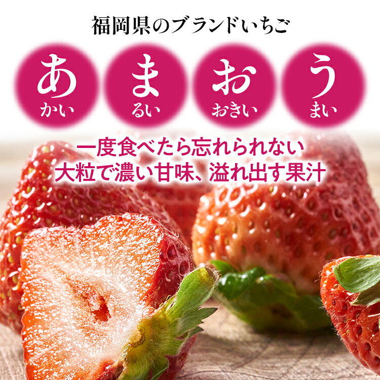 【ふるさと納税】《先行予約》福岡産【冬】あまおう 量が選べる 約500g 約1000g いちご 苺 九州産 福岡県産【2026年12月上旬から2027年1月末にかけて順次発送】 イチゴ フルーツ 果物 くだもの ※北海道・沖縄・離島は配送不可 大木町産CO001 CO002 f405221-oki-10003118 福岡県大木町 サンプル画像2
