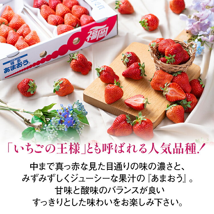 【ふるさと納税】《先行予約》福岡産【冬】あまおう 量が選べる 約500g 約1000g いちご 苺 九州産 福岡県産【2026年12月上旬から2027年1月末にかけて順次発送】 イチゴ フルーツ 果物 くだもの ※北海道・沖縄・離島は配送不可 大木町産CO001 CO002 f405221-oki-10003118 福岡県大木町 サンプル画像3