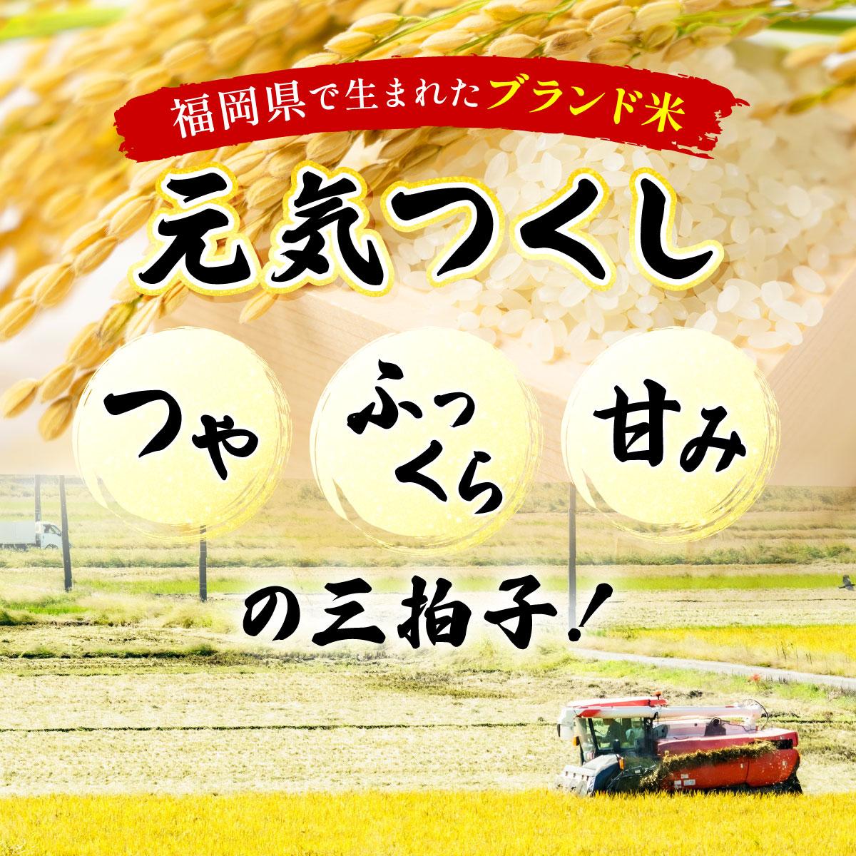 つや・ふっくら・甘みの三拍子！福岡県生まれのブランド米！　【ふるさと納税】＜選べる容量＞福岡県産米 元気つくし 精米 (5kg～15 kg) 令和7年産【精米 7年産 国産 福岡県産 お米 ブランド米 5kg 10kg 15kg 選べる容量 げんきつくし】CY011-013