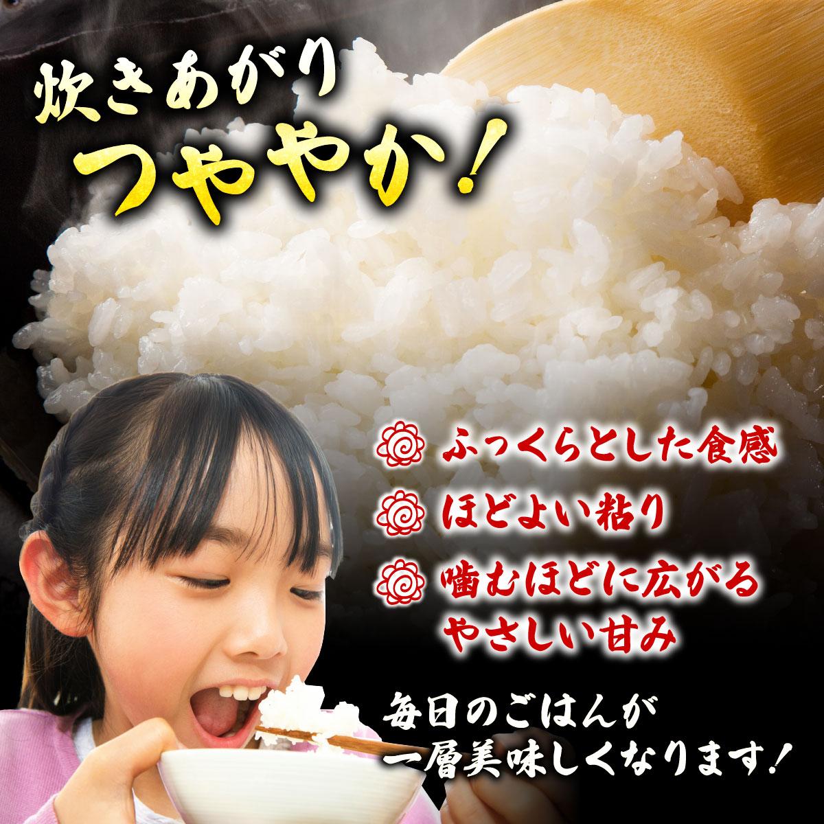 つや・ふっくら・甘みの三拍子！福岡県生まれのブランド米！　【ふるさと納税】＜選べる容量＞福岡県産米 元気つくし 精米 (5kg～15 kg) 令和7年産【精米 7年産 国産 福岡県産 お米 ブランド米 5kg 10kg 15kg 選べる容量 げんきつくし】CY011-013