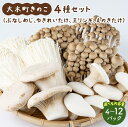 【ふるさと納税】<選べる内容量>大木町のきのこセット(ぶなしめじ・ゆきれいたけ・王リンギ・えのきたけ各1〜3パック)