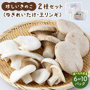 【ふるさと納税】<選べる内容量>珍しいきのこ2種セット(ゆきれいたけ・王リンギ各3〜5パック)