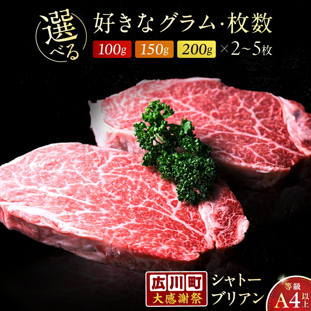 [大感謝祭:寄附額見直し][選べるグラム数×枚数]博多和牛シャトーブリアン 200g~1kg A4 A5 ギフト 贈答 広川町 / 肉のくまもと屋株式会社[AFCN001]