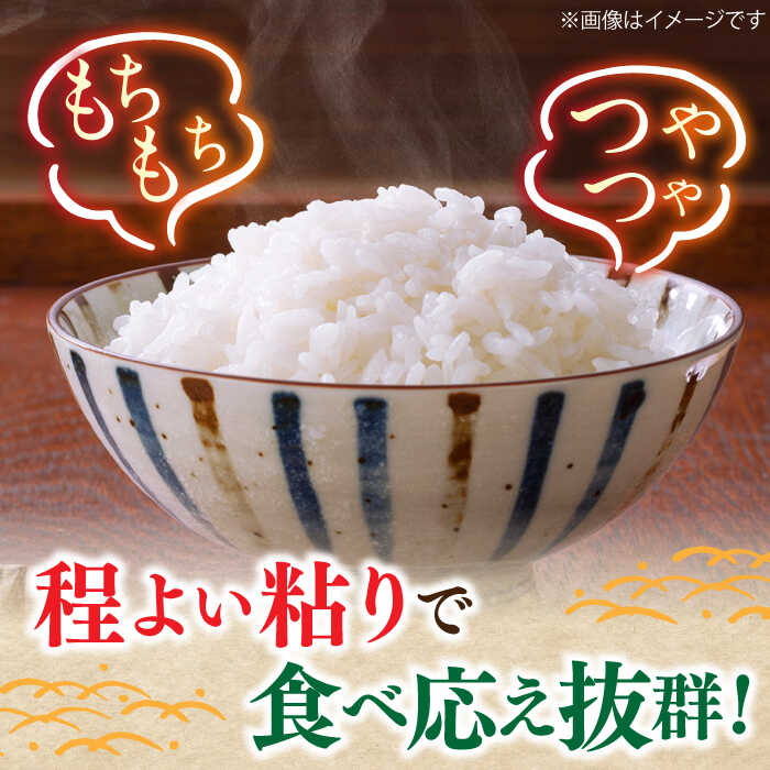 米 こめ コメ お米 ご飯 ごはん 精米 白米 新米 ライス 元気つくし 県産米 国産米 ブランド米 福岡　【ふるさと納税】【★新米先行予約★　2025年12月より発送】【令和7年産】元気つくし 10kg （5kg×2袋） 米 お米 ご飯 広川町 / JAふくおか八女農産物直売所どろや[AFAB001]