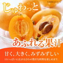 福岡県広川町の画像2