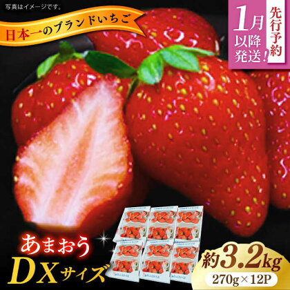 【2025年1月中旬より順次発送予定】先行予約 あまおうセット 約3.2kg　広川町 / JAふくおか八女農産物直売所どろや[AFAB006]