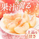 福岡県広川町の画像3