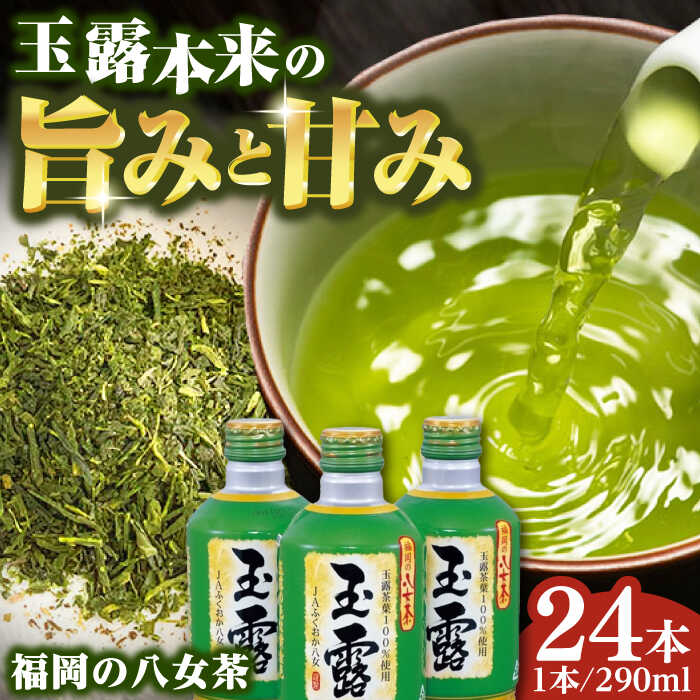 【ふるさと納税】福岡の八女茶 玉露 ボトル缶 290g×24本 お茶 緑茶 八女茶　広川町 / JAふくおか八女農産物直売所どろや[AFAB014]