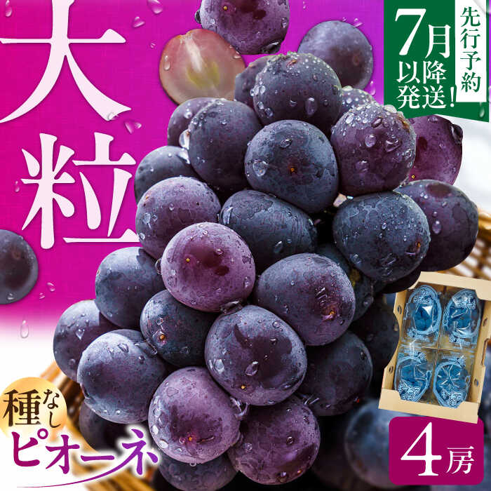 ピオーネ 約1.4kg 広川町 / JAふくおか八女農産物直売所どろや[AFAB047]