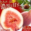 【ふるさと納税】【★先行予約★ 2025年9月上旬より発送】とよみつひめ 約1.2kg(300g×4パック) 広川町/JAふくおか八女農産物直売所どろや[AFA...