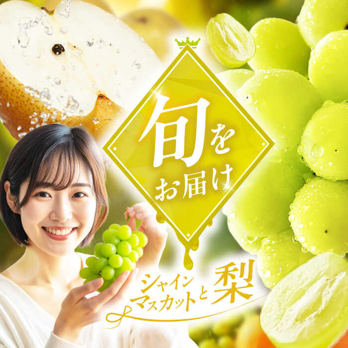 フルーツ詰合せ(シャインマスカット3パック &梨3個) 広川町 / JAふくおか八女農産物直売所どろや[AFAB088]