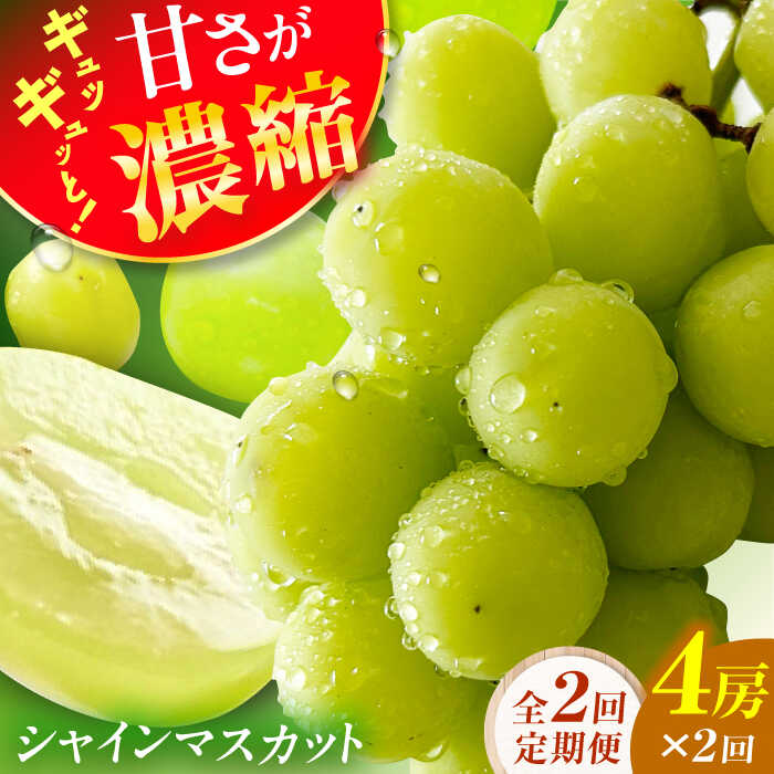 【ふるさと納税】【2回定期便】シャインマスカット2回定期便 広川町 / JAふくおか八女農産物直売所どろや[AFAB092]