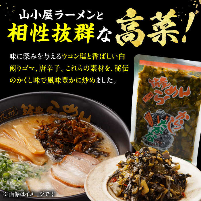 【ふるさと納税】高菜生ラーメン10食セット 豚骨 ラーメン スピード発送 広川町 / ワイエスフード株式会社[AFAE007] f405442-hirokawa-10001023 福岡県広川町 サンプル画像2