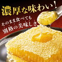 福岡県広川町の画像3