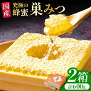 【ふるさと納税】【先行受付 令和6年7月より発送】国産巣みつ 600g(300g×2個)　広川町 / 株式会社九州蜂の子本舗[AFAI005]