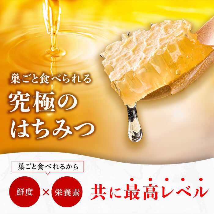 【ふるさと納税】【先行受付 令和6年7月より発送】国産巣みつ 900g(300g×3個)　広川町 / 株式会社九州蜂の子本舗[AFAI006]