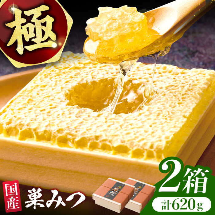 【ふるさと納税】【先行受付 令和6年7月より発送】極巣みつ 620g (310g×2個)　広川町 / 株式会社九州...