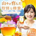 【ふるさと納税】【年内発送!12/22まで!】【選べる容量】野山みつ 1-2本...