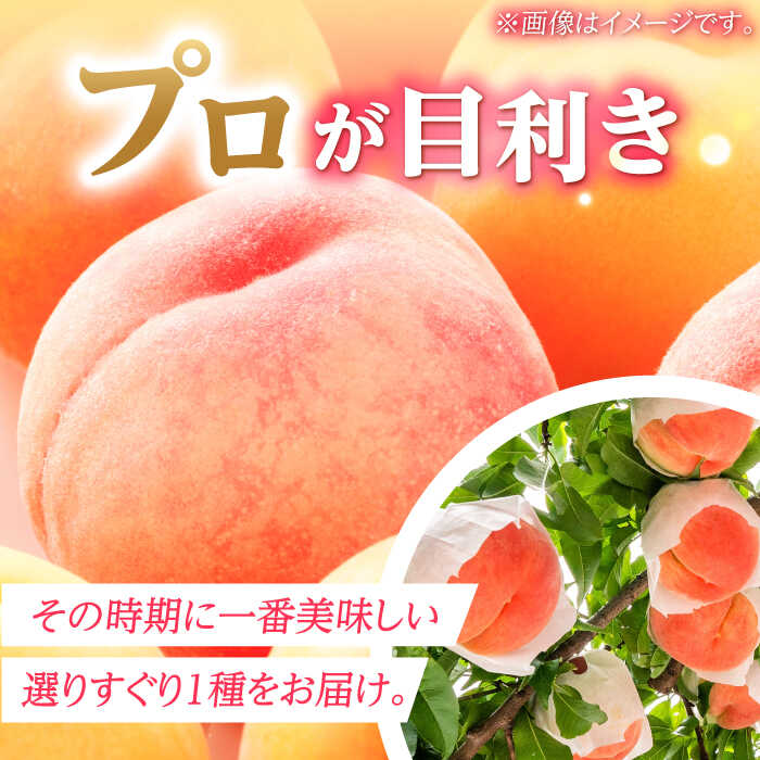 福岡県広川町の画像3
