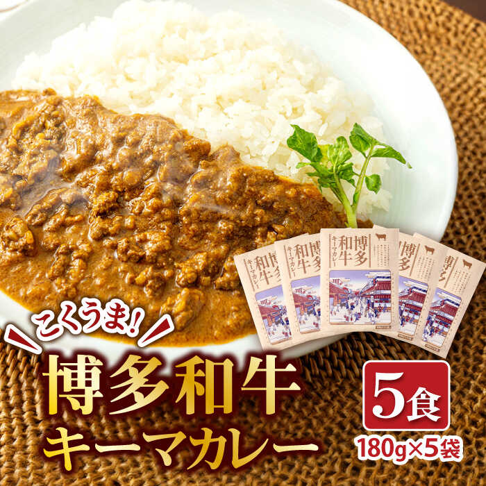 博多和牛キーマカレー 5食セット 広川町 / 株式会社エムエスエフ[AFBH001]