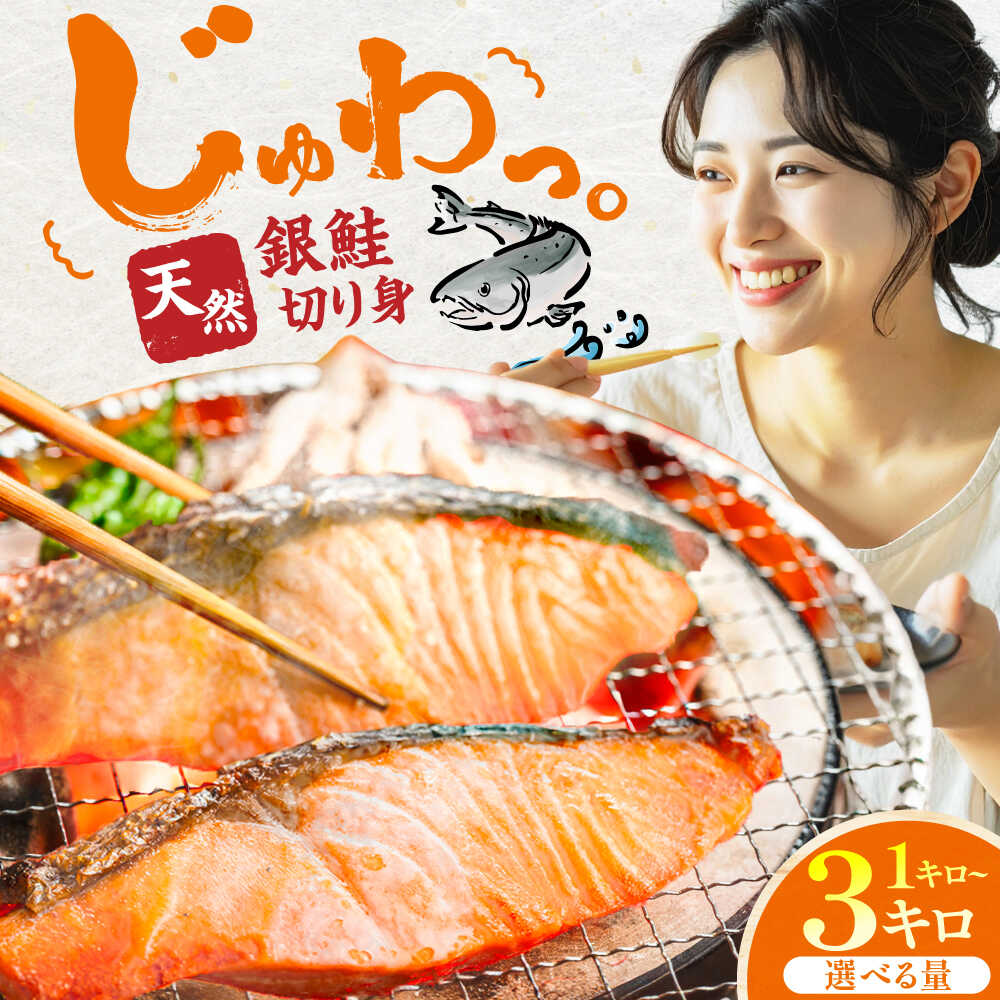 [選べる容量]銀鮭 切り身 1kg〜3kg 広川町 / 株式会社イールファクトリー[AFBS025]