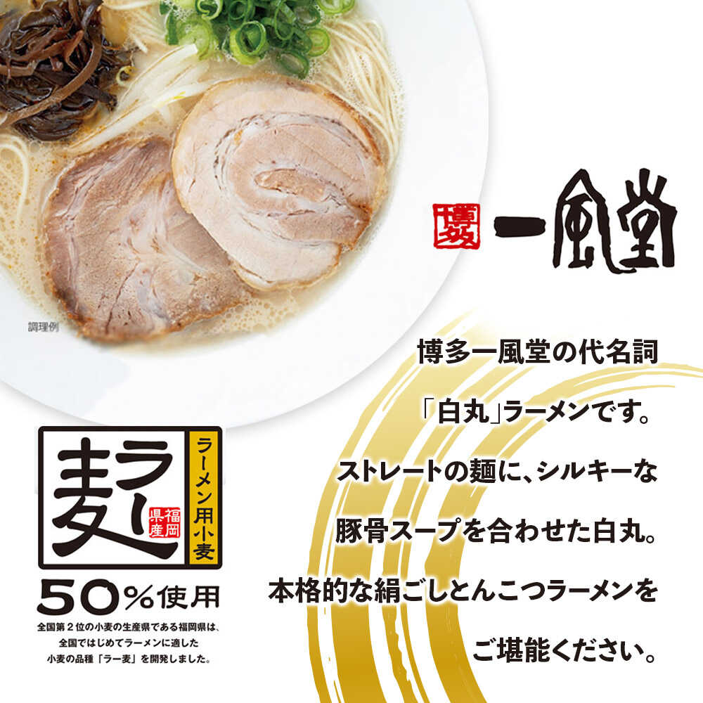 【ふるさと納税】【一風堂】白丸ラー麦麺セット 豚骨ラーメン 12食 広川町 / 一般社団法人地域商社ふるさぽ[AFCD182]
