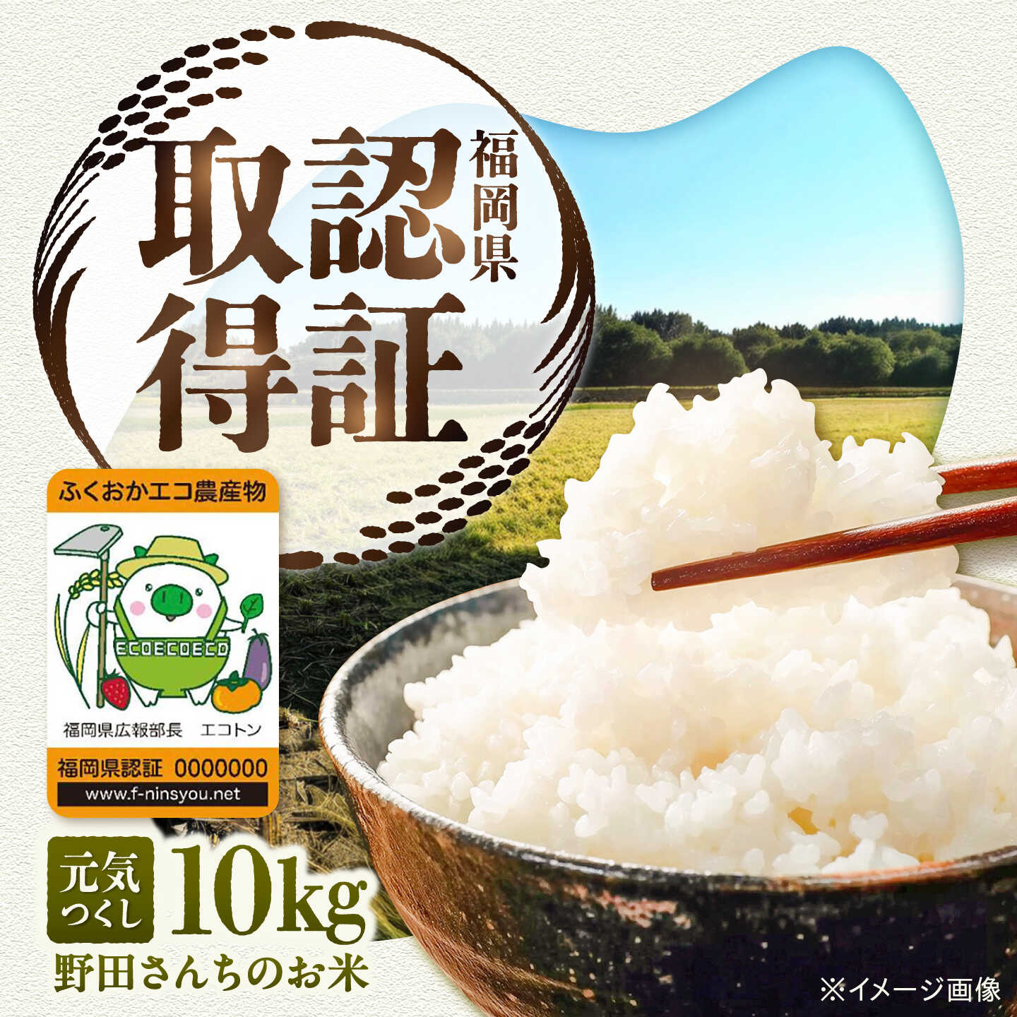 野田さんちのお米 元気つくし 10kg 広川町 / 広川いちご園[AFCO001]
