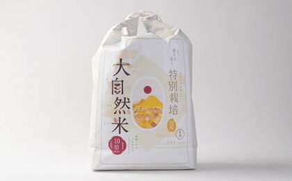 大自然米 夢つくし 玄米 10kg（5kg×2袋）米 お米 おこめ こめ コメ ごはん ご飯 5キロ 10キロ 食品 お取り寄せ 九州 福岡県 香春町 送料無料