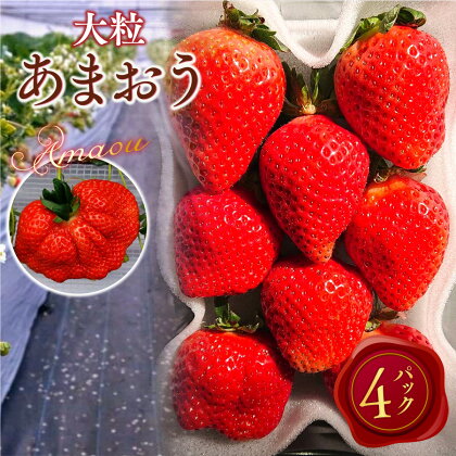 厳選大粒 あまおう 4パック 5粒～9粒 いちご フルーツ 果物 福岡県産 冷蔵 送料無料