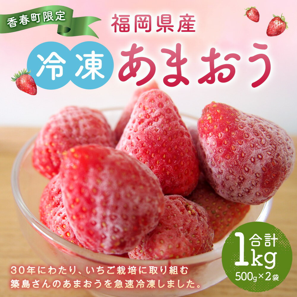 【ふるさと納税】【2024年4月上旬より発送開始】【香春町限定】 福岡県産 あまおう 冷凍 約1kg (500g×2袋) 特別栽培 【数量限定】 福岡 国産 苺 いちご ストロベリー 果物 フルーツ 無添加 無香料 無加糖 シャーベット エコウォーマー 送料無料