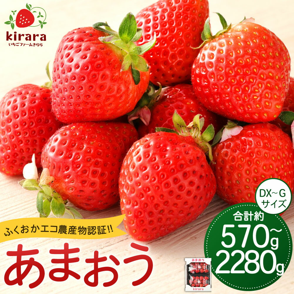 3位! 口コミ数「0件」評価「0」【2025年2月下旬から3月下旬発送予定】あまおう いちごファームきらら【ふくおかエコ農産物認証】（1パック約285g）合計 約570g 約･･･ 