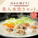 【ふるさと納税】 はかた 地どり 美人 水炊き セット(2-3人前) (スープ 600g もも肉切身 200g つみれ200g ラー麦麺 80g コラーゲン 5...