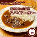 【ふるさと納税】 黒毛和牛の自家製スパイシーカレー 200g×5個 牛すじ カレー カレーライス 牛スジ 牛肉 肉 冷凍 福岡県 香春町 送料無料