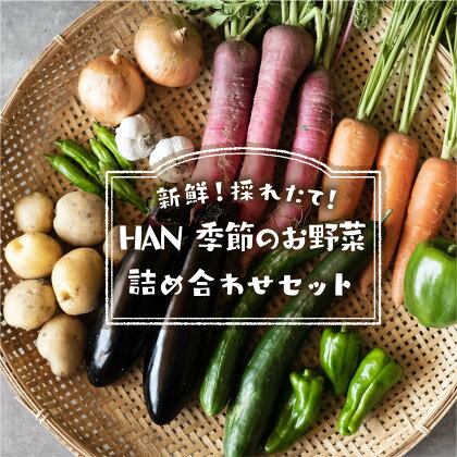 季節のお野菜詰め合わせセット 送料無料 野菜 新鮮 農薬不使用 新鮮 採れたて HAN