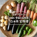 30位! 口コミ数「0件」評価「0」 季節のお野菜 送料無料 野菜 セット 詰め合わせ 農薬不使用 新鮮 採れたて やさい12カ月 定期便 HAN