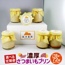 【ふるさと納税】【選べる定期便】〈3ヶ月〜12ヶ月定期便〉濃厚 さつまいもプリン 6個入り 計18個〜72個 プリン 紅はるか さつまいも さつま芋 サツマイモ...