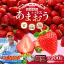 【ふるさと納税】ギフト配送 約450g×2パック 約900g EX 福岡県産 あまおう 特別栽培 いちご 苺 ストロベリー 果物 フルーツ 福岡 国産 ギフト 送料無料【2026年1月上旬-3月下旬発送予定】