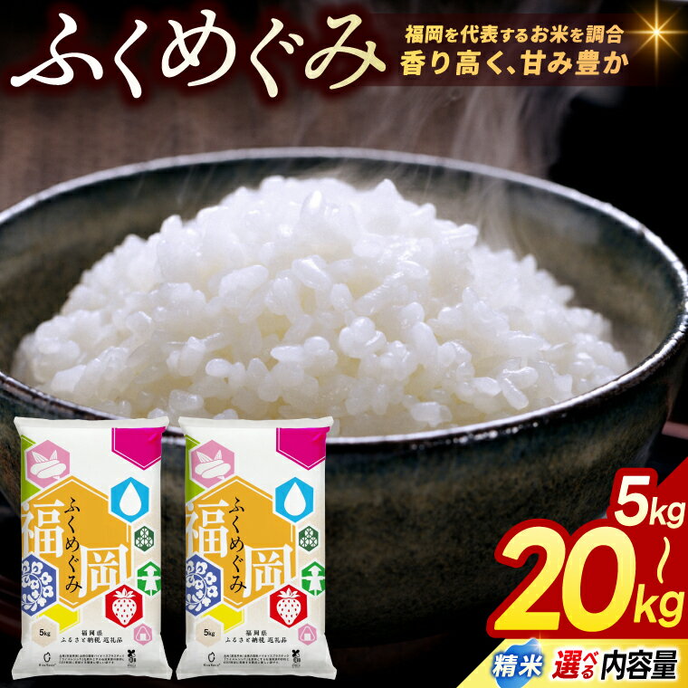 ڤդ뤵Ǽǡۡ  7ǯ    ֥ơ  դᤰ  ٤ 5kg / 10kg / 20kg ʡ   ...