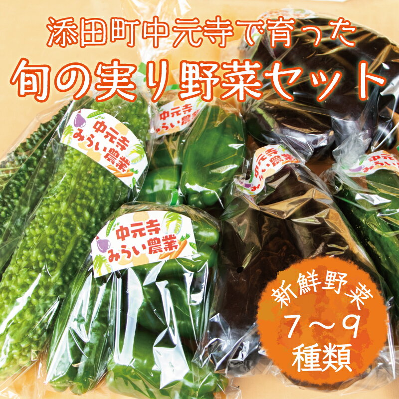 25位! 口コミ数「1件」評価「5」中元寺 旬の実り 野菜 セット(旬の野菜 7～9種類程度) [a0010] 中元寺みらい農業株式会社 ※配送不可：北海道・東北・沖縄・離島【･･･ 