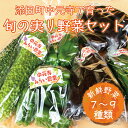 7位! 口コミ数「1件」評価「5」中元寺 旬の実り 野菜 セット(旬の野菜 7～9種類程度) [a0010] 中元寺みらい農業株式会社 ※配送不可：北海道・東北・沖縄・離島【･･･ 