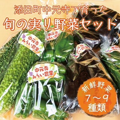 楽天ふるさと納税　【ふるさと納税】中元寺 旬の実り 野菜 セット(旬の野菜 7～9種類程度) [a0010] 中元寺みらい農業株式会社 ※配送不可：北海道・東北・沖縄・離島【返礼品】添田町 ふるさと納税